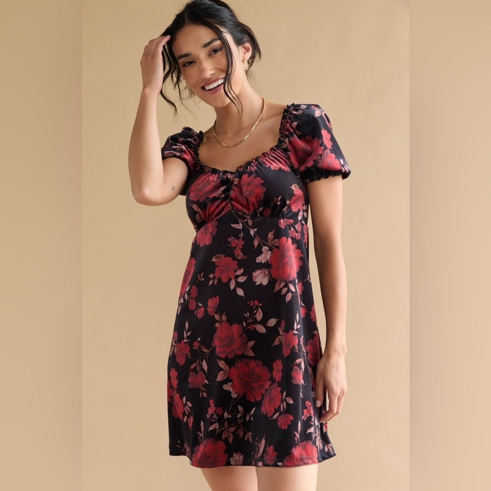 Francesca's Collections Black and Red Floral Mini Dress